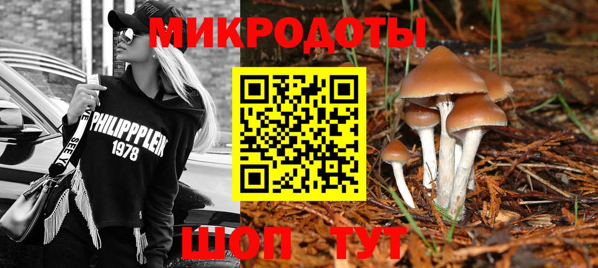Псилоцибиновые грибы Psilocybine cubensis Вичуга