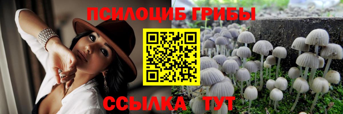 где продают   Галлюциногенные грибы Magic Shrooms  Вход с VPN  Вичуга 